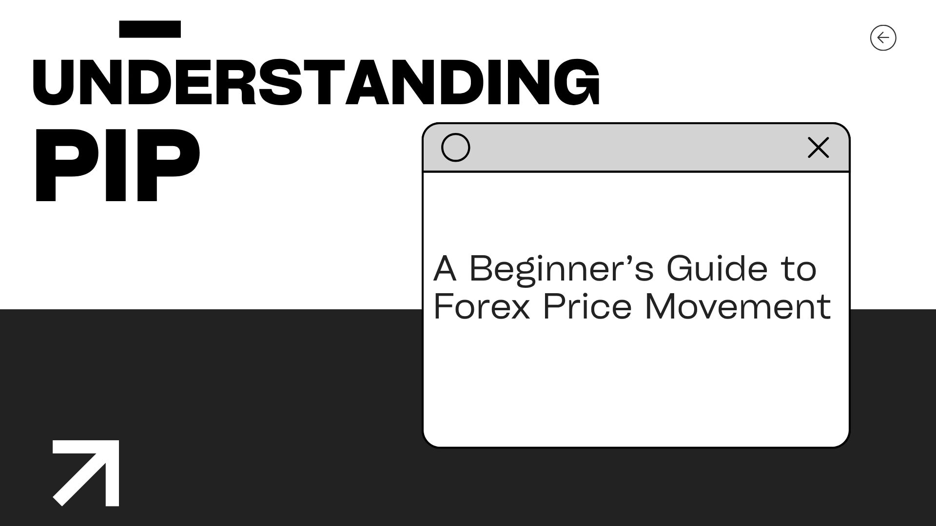 Understanding PIP: A Beginner’s Guide to Forex Price Movement